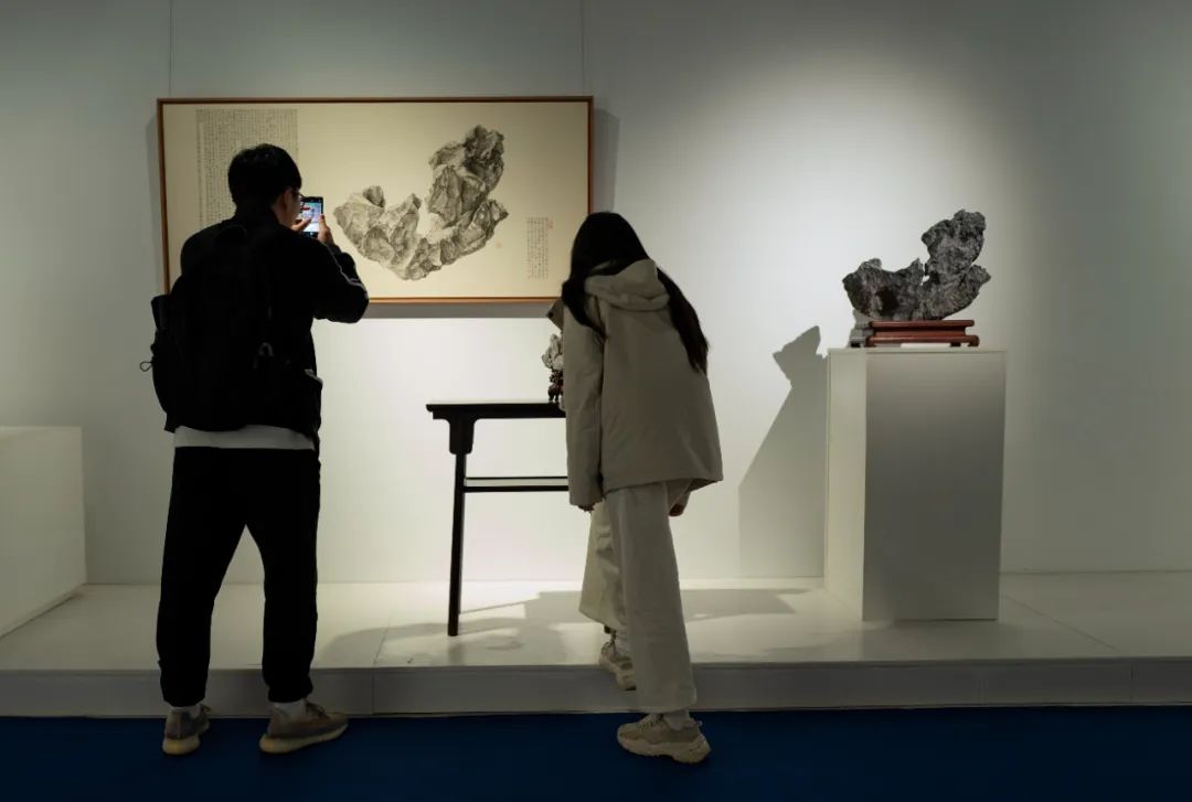 赵德奇：苏州“心象—赏石的视觉与观念”艺术展观感